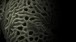 Blinc Microscopy banner