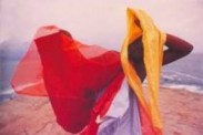 Hélio Oiticica, Parangolé P4 Cape 1, 1964. Photo Sergio Zalis