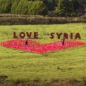 Caroline Cleave and Franca Westaway, Have a Heart for Syria (2013), 2000+ red fabric flags and supports