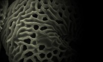 Blinc Microscopy banner