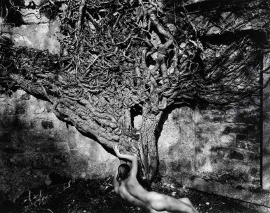 John Swannell, Naked Vine, 1985, The Royal Photographic Society Collection, National Media Museum/SSPL © John Swannell